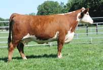 A maternal sister sold for $7000 to Cutler s Little Farm.