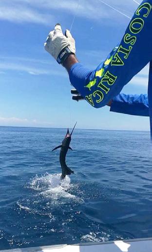 Whether you are a lifetime fisherman, a fisherman at heart or a fisherman s first start, you ll find a truly extraordinary sport fishing experience in the Mid Pacific of Costa Rica.