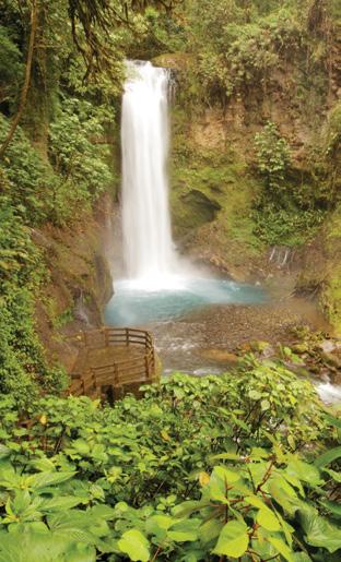 La Paz Waterfall Gardens is the most visited privately owned ecological attraction with a rescued wildlife preserve and animal sanctuary with over 100 species of animals, including an environmental