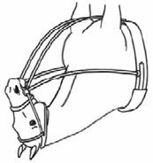 B-2. Snaffle bridle bits. LEGAL BITS 1. Loose ring snaffle. 2. a.b.c. Snaffle with jointed mouthpiece where middle piece should be rounded. 3. Egg-butt snaffle. 4. Racing snaffle (D-ring). 5.