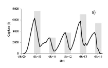 Figure 35 Yellowleg shrimp catch at age changes from December 2009 to December 2014. (INAPESCA end of the season reports) Factor 1.