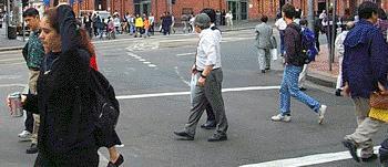 [157] At a pedestrian crossing with traffic lights, when the amber light starts 'flashing' after the red stop signal, it means (a) The traffic lights are out of order and pedestrians must