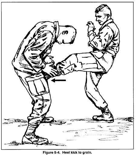 FM 21-150 Chptr 5 Long-Range Combatives e. Shin Kick. The shin kick is a powerful kick, and it is easily performed with little training.