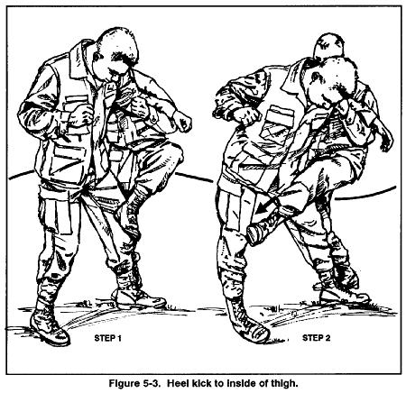 FM 21-150 Chptr 5 Long-Range Combatives d. Heel Kick to Groin. The defender drives a heel kick into the attacker's groin (Figure 5-4) with his full body mass behind it.
