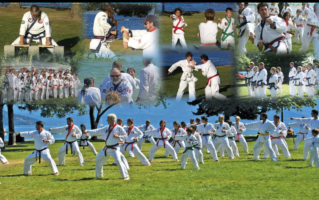 Mission: To provide an annual comprehensive Martial Arts Camp that will foster education and development of the Martial Arts as well as