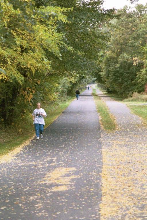 W&OD Trail Highlights Primary Activity: Season Usage: Biking - 66% Summer 40% Walking - 16% Spring 30% Jogging - 16% Fall 30% Other - 2% Winter 10% The primary reason for visit: Recreation and