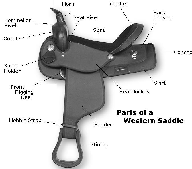 HORSE TACK At Woodloch, we pride ourselves on teaching complete horsemanship to our