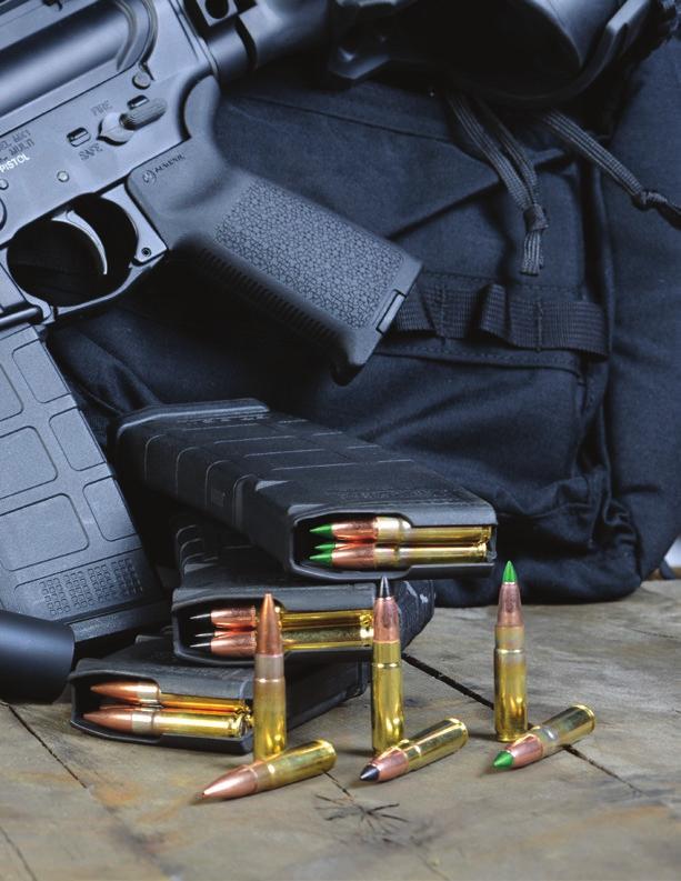 AFTER YEARS OF RECOMMENDING VARIOUS BRANDS AND TYPES OF AMMUNITION,