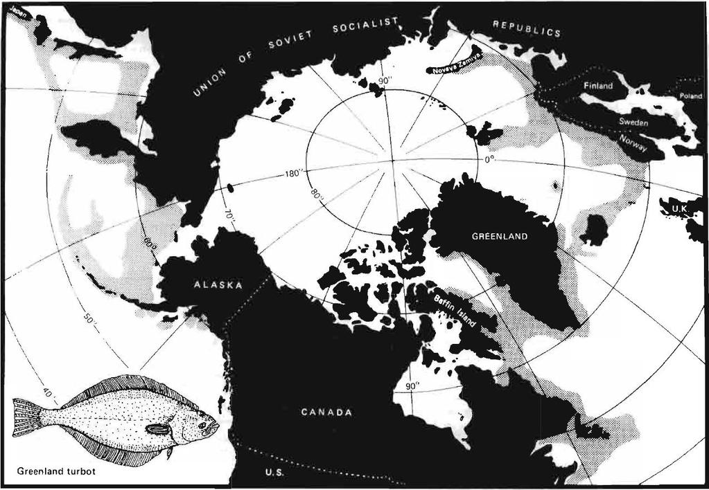 Figure 1. Global distribution of Greenland turbot. From Alton et al. 1988.