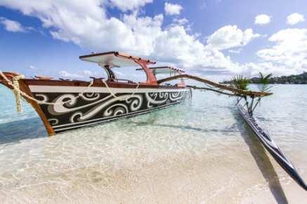 LAGOON EXCURSIONS PRIVATE LUXURY TOURS: TAMATOA E Several options available.