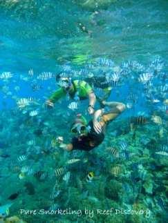 LAGOON EXCURSIONS REEF DISCOVERY TOUR Discover the beauty of the lagoon and its wild side with