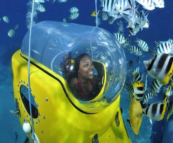You will see the coral garden, the aquarium and the colorful fishes, and you may have the chance to observe the mythical Manta rays or even a lot of spotted eagle rays.