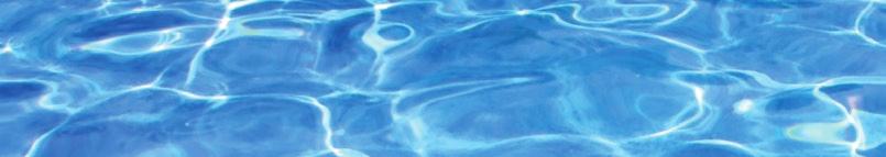 Glossary of Terms Acid: A chemical that lowers ph rapidly when added to pool water. Examples: muriatic acid, sodium bisulfate. Algae: Microscopic plant life that forms on pool surfaces.
