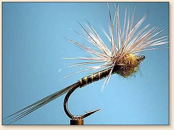 THE COCK S WATTLES and other FLY-FISHING TERMS Hackle Stacker Fly a tying style for Mayfly emerger patterns that stacks the hackles on top of the thorax allowing the body and thorax to ride suspended