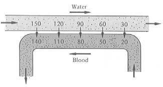 Dissolved oxygen diffuses into capillaries of gill filaments to oxygenate blood. 2. Countercurrent flow system (fig.