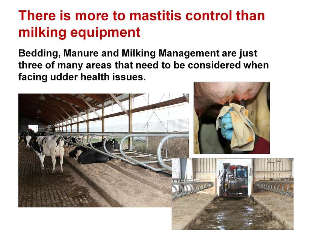 The majority of mastitis causing organisms are environmental in nature and for that reason the control