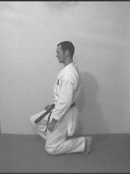 during the processes of sitting down and standing up from seiza.