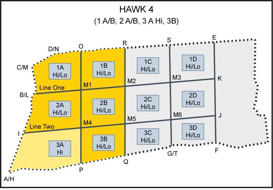 CHAPTER THREE ADVANCED UMFO BFM Figure 3-4 HAWK 4 Working Area Lead SNFO is responsible for all navigation and comms. Lead will switch the flight to BTN 18 and direct the fence-in over AUX.