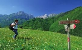 Natural Science Ethnography Trail through the Logarska dolina valley offers a picturesque seven-kilometer walk that visitors can take alone or accompanied by a guide and learn about the origins of