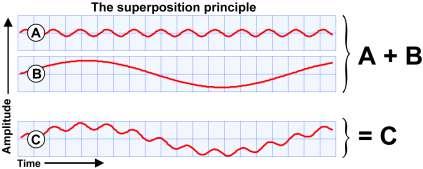 The Superposition Principle Principle of Superposition when two or more waves overlap each other, their amplitudes combine