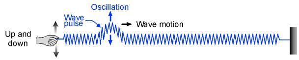 Waves Transverse wave Particles oscillate up and down about their equilibrium positions, perpendicular to the direction of wave