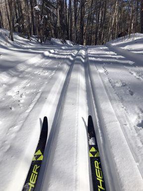 slower than your favorite waxable race skis with blue kicker, but you ll already be 5K down the trail by the time your ski buddies get their waxing sorted out!