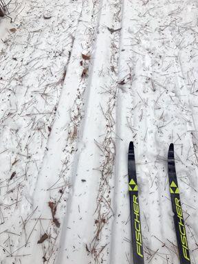 Does all this mean I can have a waxless classic ski that s race-caliber, will kick on sun-baked slush, go into the shade and still kick on an icy track, then glide right over the needles and bark by