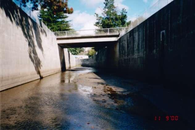 Branciforte Creek