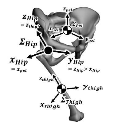 Mechanism of the maintenance of sagittal trunk posture in maximal sprint running Fig.