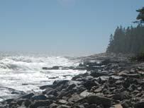 Schoodic Point is a short 5-10 minute walk from the SERC campus.