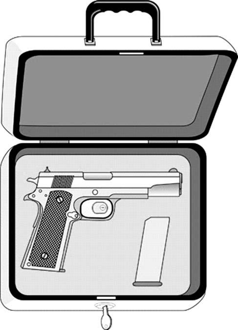 CANADIAN RESTRICTED FIREARMS SAFETY COURSE 2008 Section 8 8.6 Handling a. Before obtaining a restricted firearm, think about how you will transport it home.