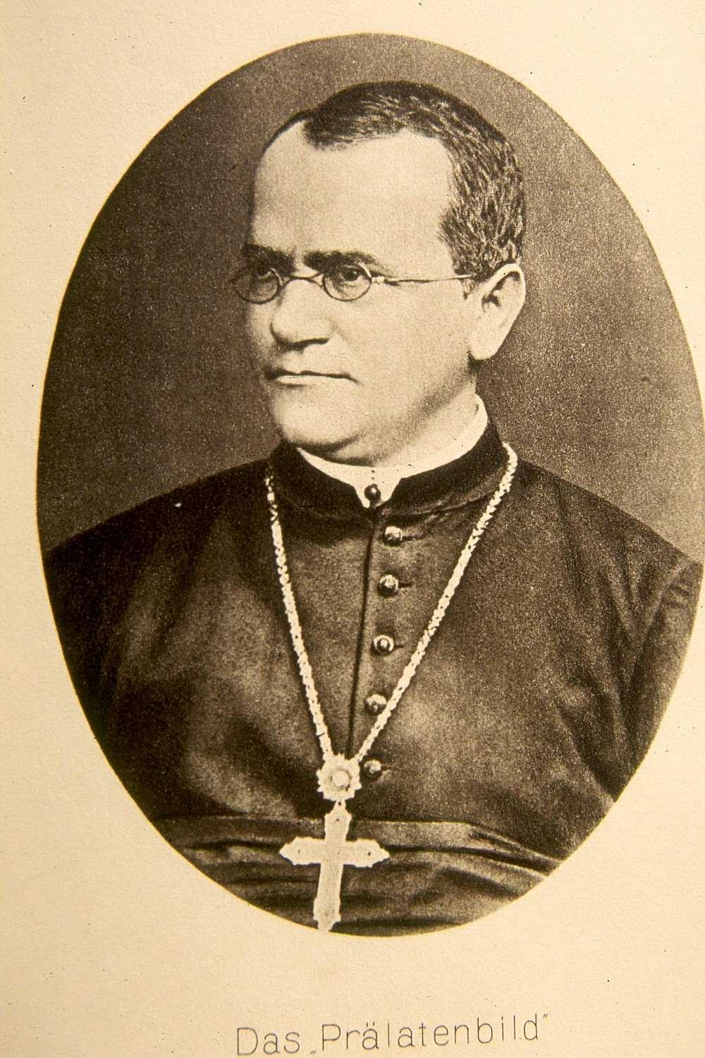 Gregor Mendel 19 th century Austrian monk Studied