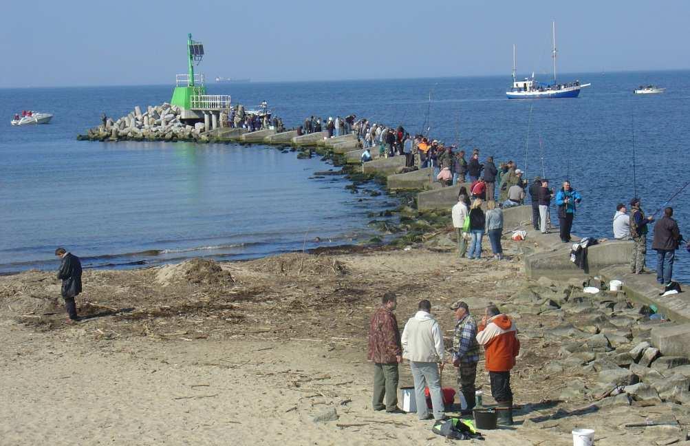Gdynia Number of anglers 170000 160000 150000 140000 130000 120000 110000 100000 90000 80000 70000 60000 50000 40000 30000 20000