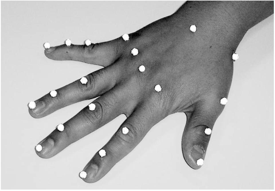 Preliminary Design Figure 7: Study of hand movements by Zhang et al. Reflective markers are placed on the hand to track movements in 3D.