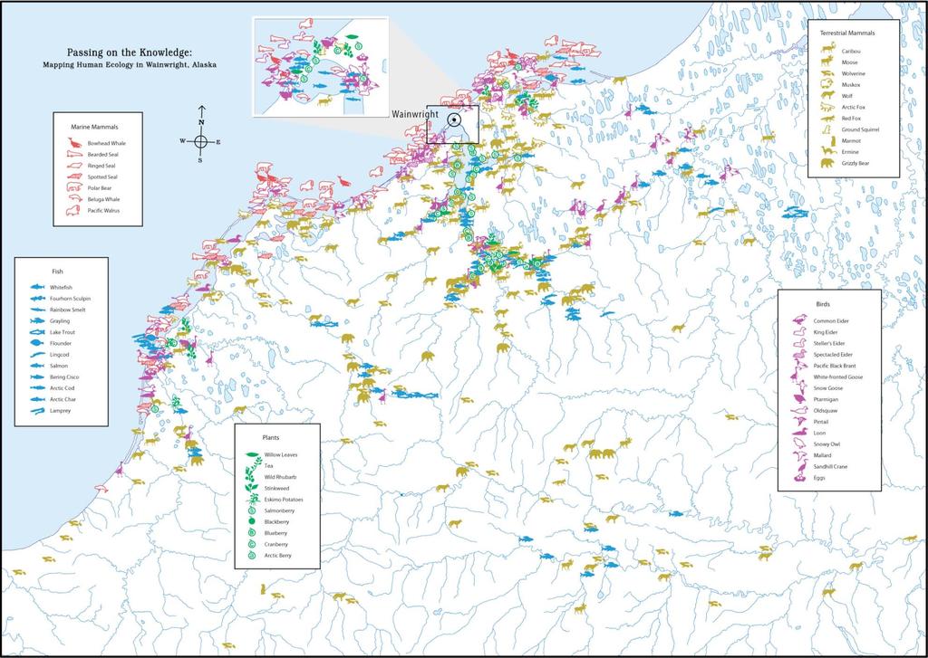 Figure 1. Human Ecological Map of Wainwright, Alaska In Figure 2, note the presence and significance of ice to seasonal activities related to obtaining diverse and complimentary food sources.