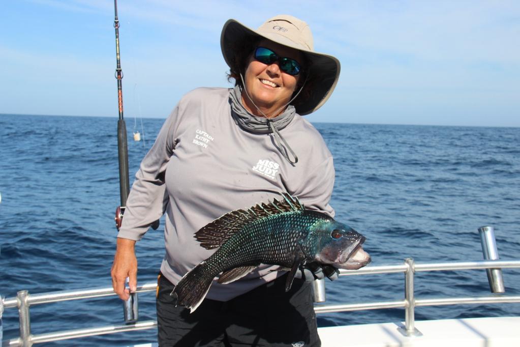 The offshore bite has really gotten good! We are catching large black sea bass off of isolated spots at the artificial reefs.