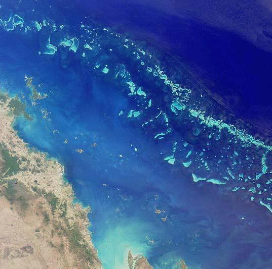 4 The Great Barrier Reef is the biggest reef in the world.