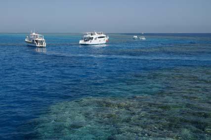 Many people visit the Great Barrier 8 Reef.