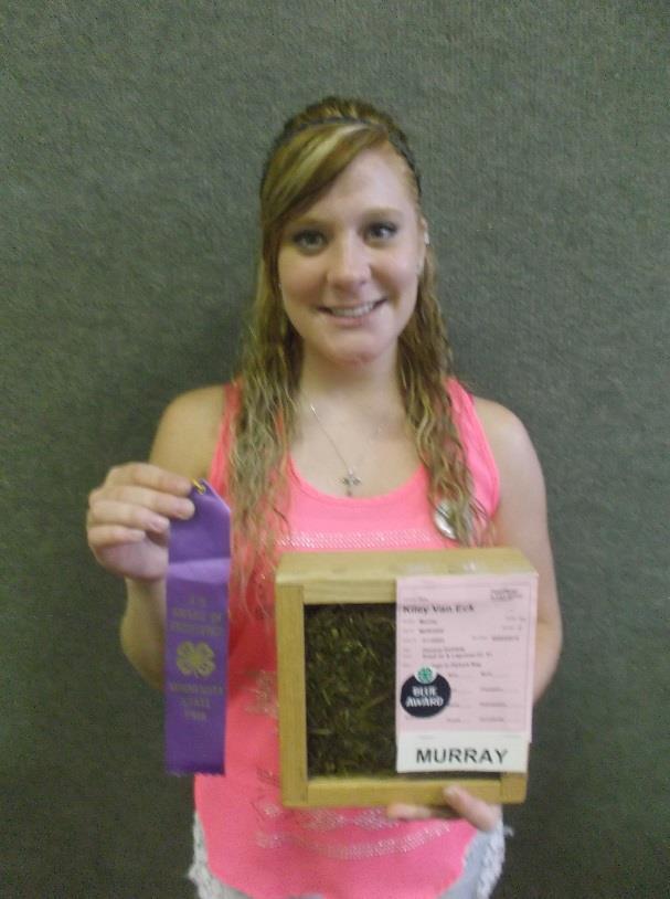 (Right) Kiley Van Eck, Lakers 4-H Club, holding the purple ribbon she received on