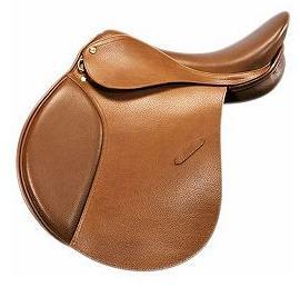 Also identify one characteristic of the saddle that allowed you to identify the