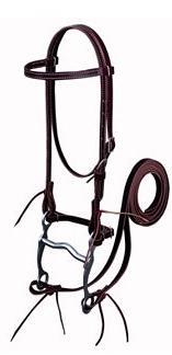 Type of Bridle: Identifying Characteristic: