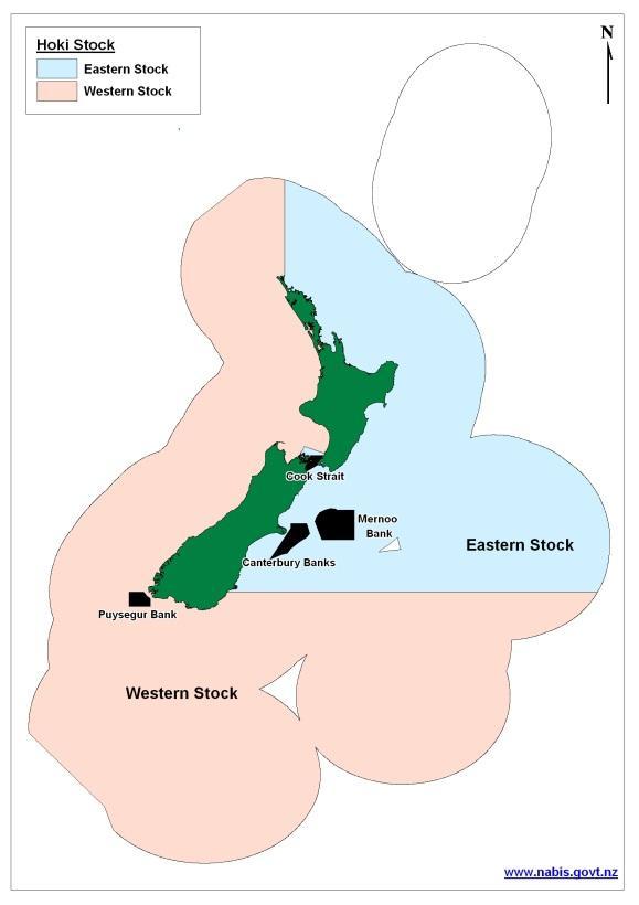 REBUILDING THE HOKI FISHERY IN NEW ZEALAND 3 Figure 2.