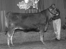 68-0.29-0.10 41 Breeding Info PE 11/24/08-2/3/09 to Wulf s Shop Talk EAFF Polled Andromeda 740S is from the highly regarded SOGF Amber King 264B cow family.