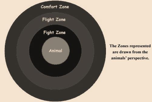 2 Introduction Animals have three psychological zones around them.