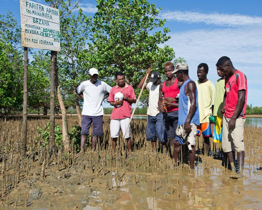 From reefs to mangroves Adoption of this locally led approach to fisheries management continues to grow each year in Madagascar and beyond.