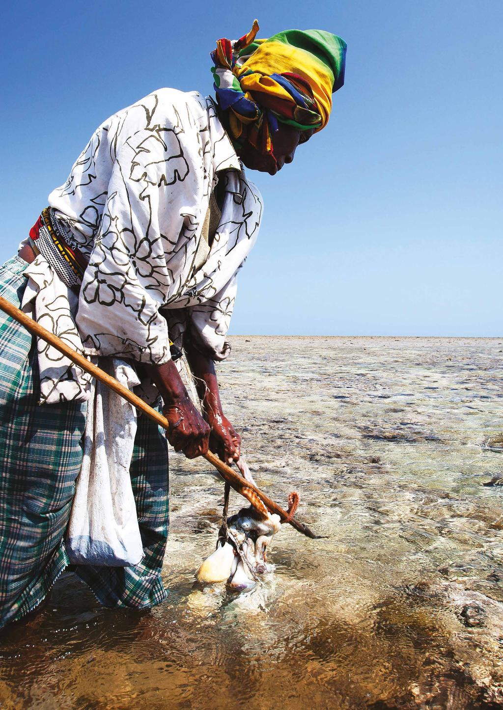 Empowering women Octopus fishing is particularly important for women in Madagascar, who are able to glean on reef flats by foot using simple spears, yet rarely have the opportunity to participate in