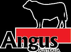 Angus Breeding Cattle into Quarantine Breeding Animal Certificates Finalised Identification Validated against The Angus Society of Australia