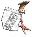 If you have a paper permit, you can simply attach your notched permit to the deer or turkey s leg.
