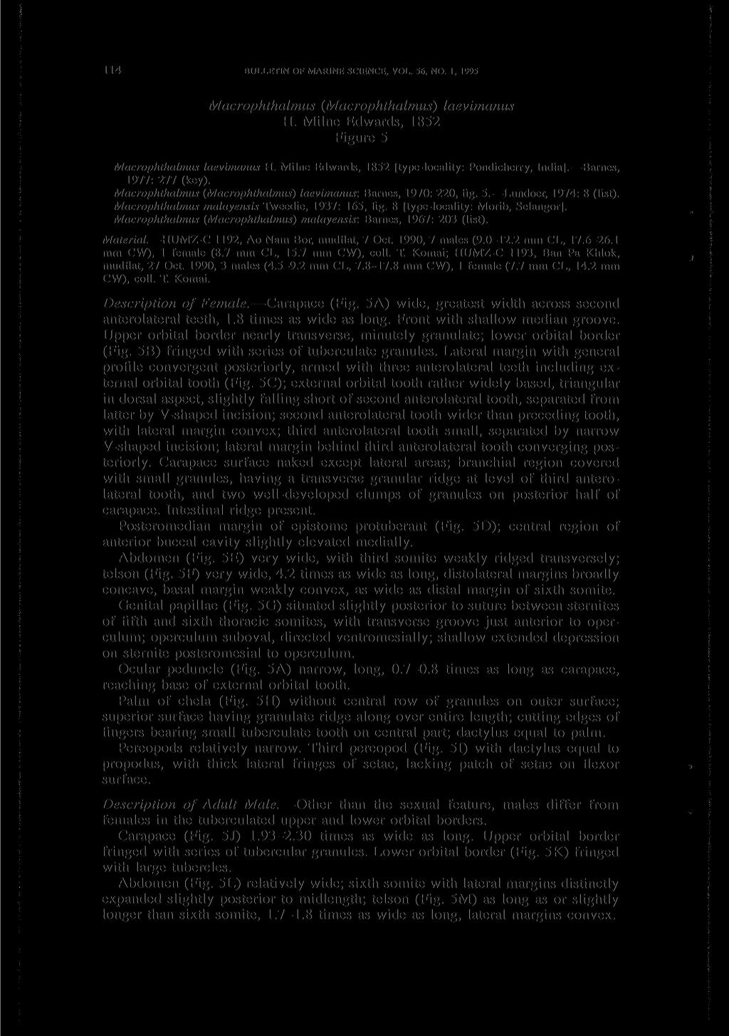 114 BULLETIN OF MARINE SCIENCE, VOL. 56, NO. 1, 1995 Macrophthalmus (Macrophthalmus) laevimanus H. Milne Edwards, 1852 Figure 5 Macrophthalmus laevimanus H.