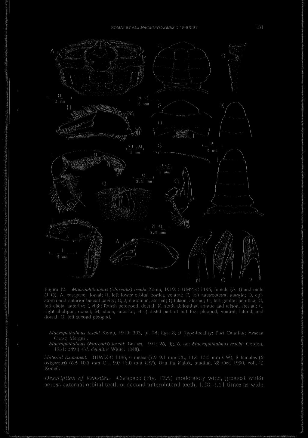 KOMAI ET AL.: MACROPTHALMUS OF PHUKET 131 Figure 12. Macrophthalmus (Mareotis) teschi Kemp, 1919. HUMZ-C 1196, female (A-I) and male (J-Q).